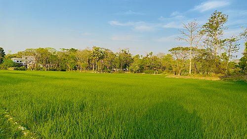 Beanibazar Upazila