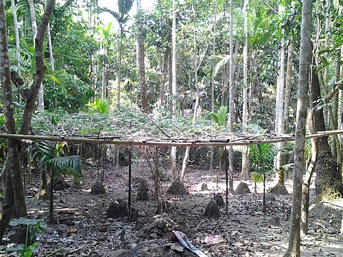 Pirojpur Sadar Upazila