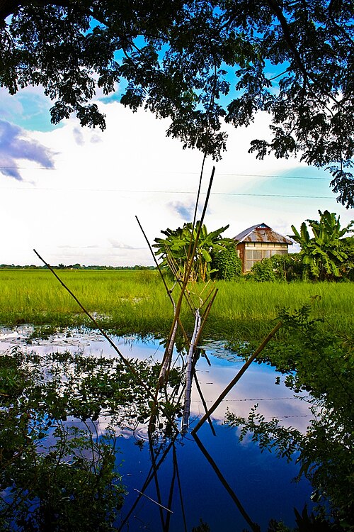 Raipura Upazila